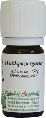 WALDSPAZIERGANG Öl