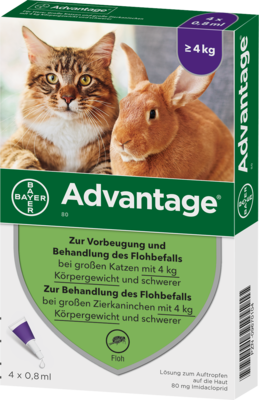 ADVANTAGE 80 mg f.gr.Katzen u.gr.Zierkaninchen