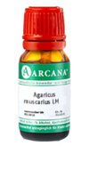 AGARICUS MUSCARIUS LM 15 Dilution