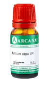 ALLIUM CEPA LM 110 Dilution