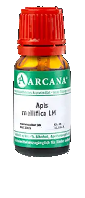 APIS MELLIFICA LM 24 Dilution