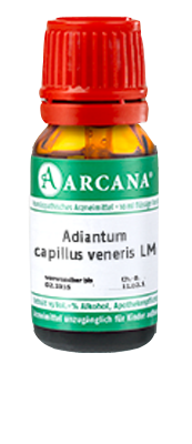 ADIANTUM CAPILLUS veneris LM 17 Dilution